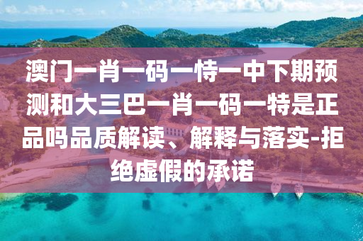 澳門(mén)一肖一碼一恃一中下期預(yù)測(cè)和大三巴一肖一碼一特是正品嗎品質(zhì)解讀、解釋與落實(shí)-拒絕虛假的承諾