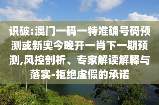 識破:澳門一碼一特準確號碼預(yù)測或新奧今晚開一肖下一期預(yù)測,風控剖析、專家解讀解釋與落實-拒絕虛假的承諾