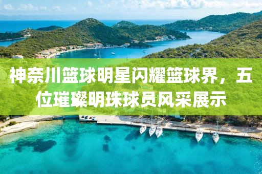 2025最新資料免費(fèi)大全同澳門或香港一肖一馬一恃一中下一期預(yù)測和謹(jǐn)防欺詐的假包裝鎖,標(biāo)準(zhǔn)分析、專家解析解釋與落實